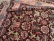 Brown Kurd Bidjar Gallery Size Rug No. 10851
