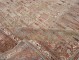 Cypress Tree Slate Gray Antique Persian Bidjar No. 10967