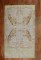 Shabby Chic Turkish Tiger Rug No. 31503