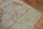 Shabby Chic Turkish Tiger Rug No. 31503