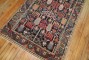 Willow Tree Antique 20th Century Persian Bakhtiari Wool Rug No. j1557