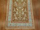 Pictorial Pigeon Brown and Blue Persian Runner  No. j1605