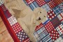 Rare Room Size Large Labrador Dog American Hooked Rug No. j2195