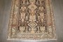 Brown Persian Kurd Bakhtiari  No. j4205