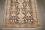 Brown Persian Kurd Bakhtiari  No. j4205