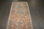 Apricot Northwest Persian Runner No. j4245