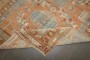 Apricot Northwest Persian Runner No. j4245