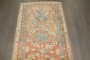 Apricot Northwest Persian Runner No. j4245