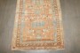 Apricot Northwest Persian Runner No. j4245