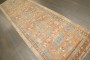 Apricot Northwest Persian Runner No. j4245