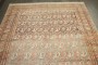 Persian Malayer Paisley Corridor Rug No. j4680