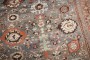 Stunning Bidjar Carpet No. j4738