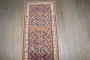 Narrow Persian Kurd Runner No. j4887