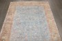 Sky Blue Antique Malayer Gallery Carpet No. j4990