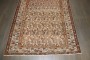 Brown Malayer Paisley Gallery Runner No. j5193