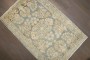 Soft Green Apricot Sarouk Rug No. r4681a