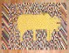 Persian Rhinoceros Checkerboard Kilim No. r5698