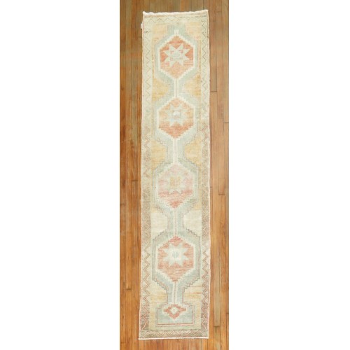 Turkish Anatolian Narrow Runner No. 31296