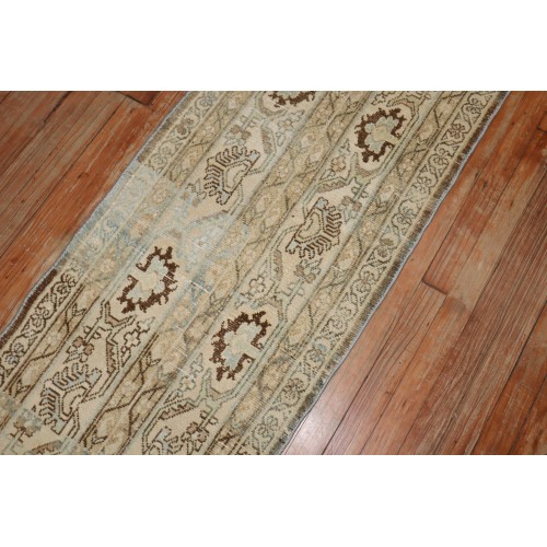 Skinny Long Persian Malayer Runner No. j3940