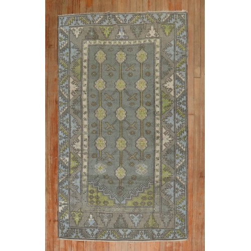 Anatolian Accent Rug No. j3983