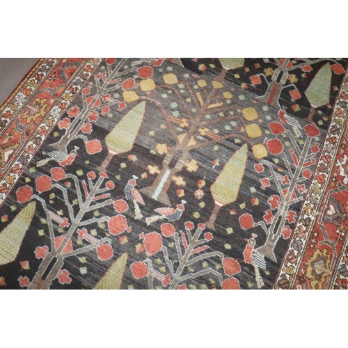 Antique Persian Bakhtiari Gallery Size Rug No. j4070