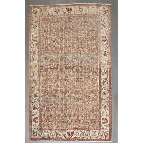 Antique Bidjar Brown Rust Rug No. j4113