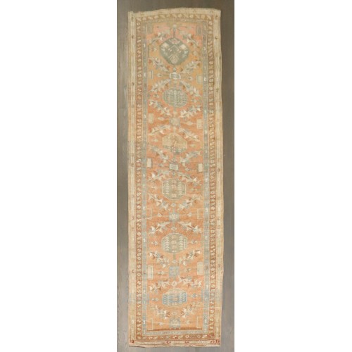 Apricot Northwest Persian Runner No. j4245