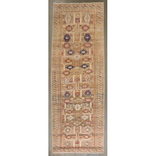 Camel Caucasian Shirvan Rare Gallery Rug No. j4299