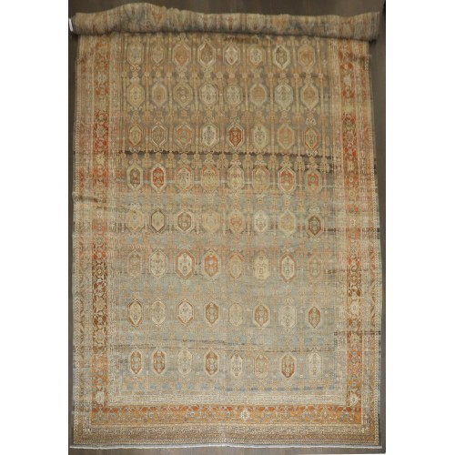 Oversize Caramel Tone Persian Bibikabad Rug No. j4422