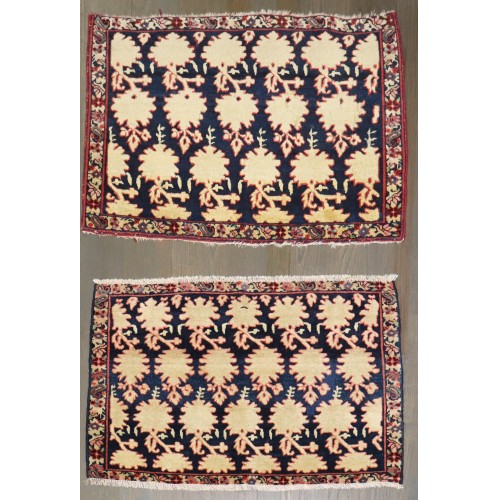 Pair of 20th Century Jozan Sarouk Mats No. j4476