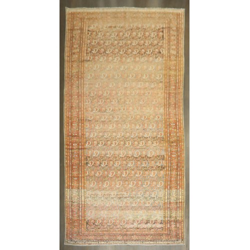 Persian Malayer Paisley Corridor Rug No. j4680