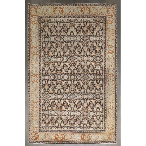 Antique Indian Agra Rug No. j5013