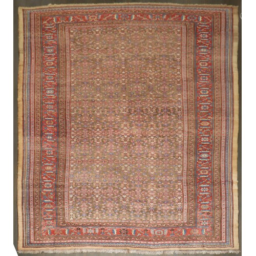 19th Century Bakshaish Square Carpet No. j5142