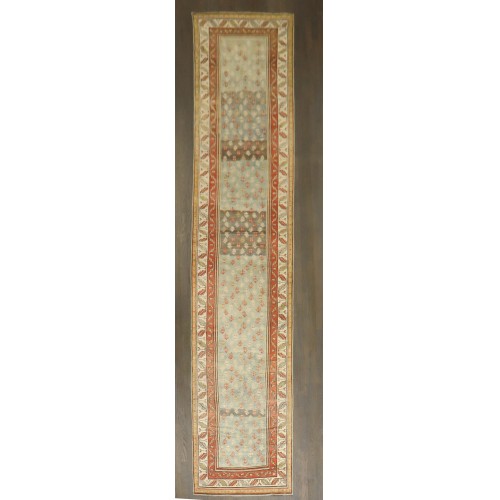 Caucasian Talish Runner No. j5236